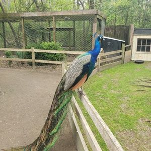 Meet your Posher, Colleen